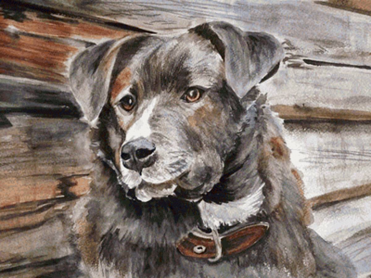 №2137321 - друг, собака - предпросмотр