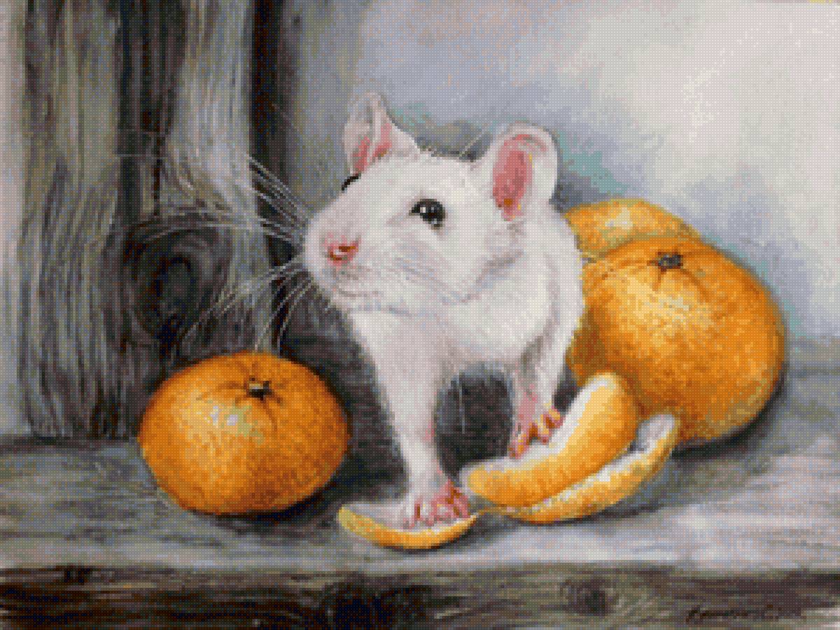 №2137328 - мышка, апельсины - предпросмотр