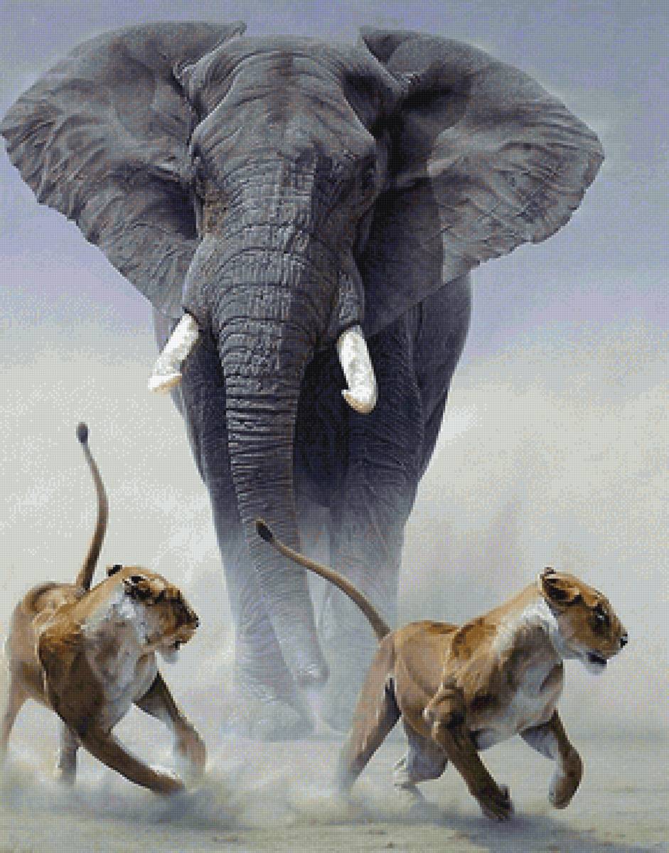 №2137592 - предпросмотр