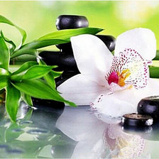 Схема вышивки «№2137920»