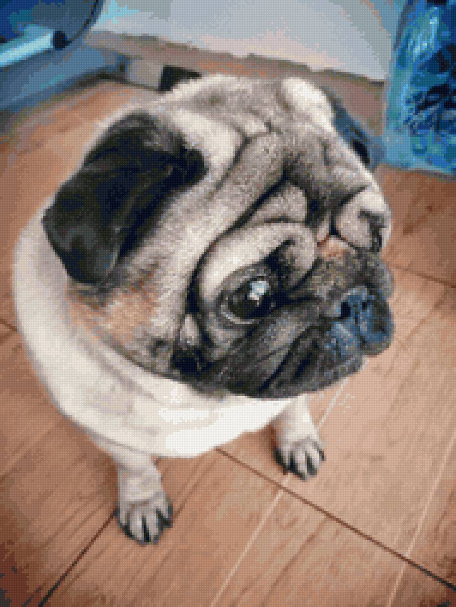 Masy - предпросмотр