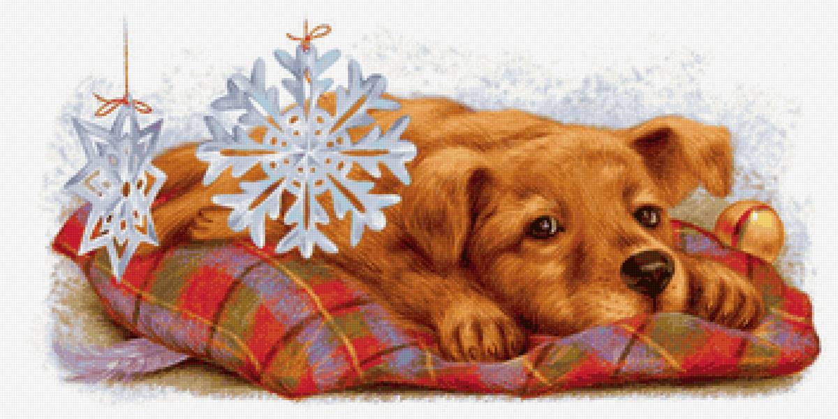 №2138449 - предпросмотр