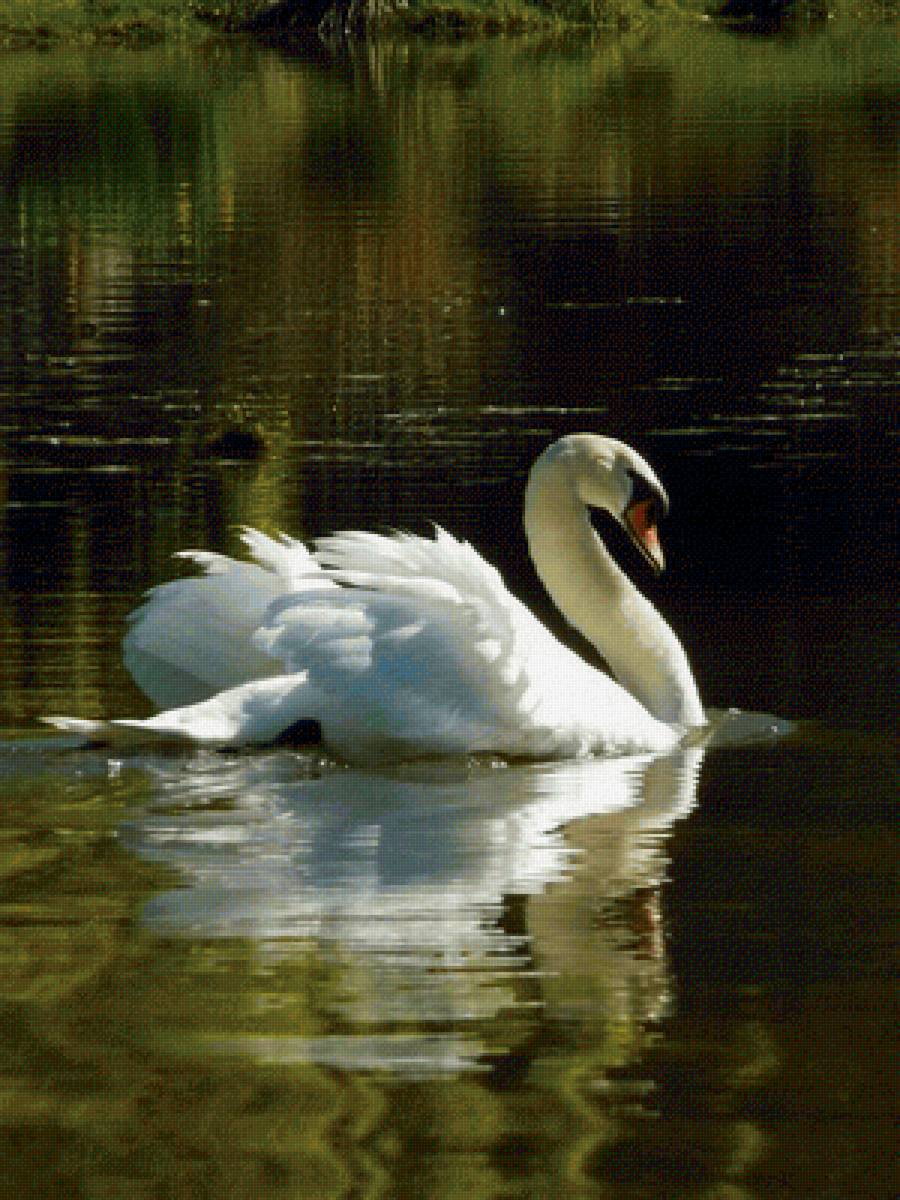 №2138704 - предпросмотр