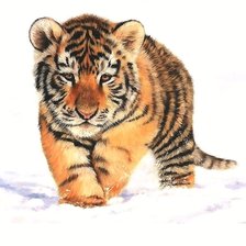 Схема вышивки «тигрёнок»