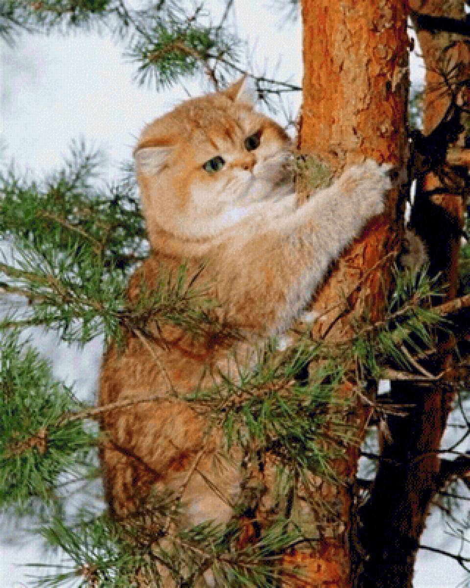 Все выше - кошка, дерево, животные - предпросмотр