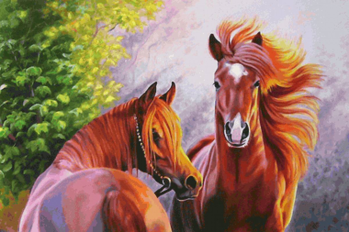 пара - предпросмотр