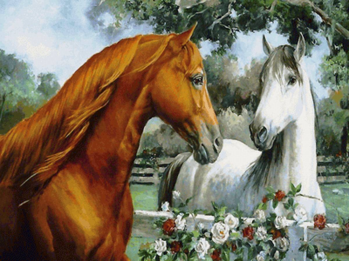 пара лошадей - предпросмотр