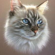 Схема вышивки «№2139271»