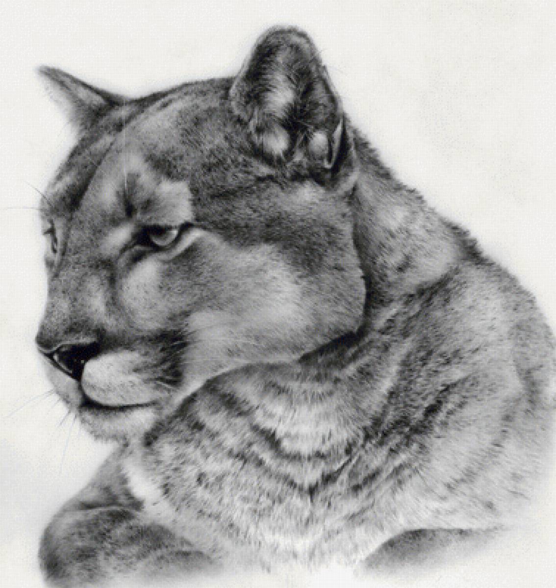 №2139282 - предпросмотр