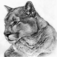 Схема вышивки «№2139282»