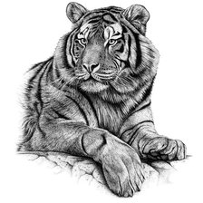 Схема вышивки «№2139289»