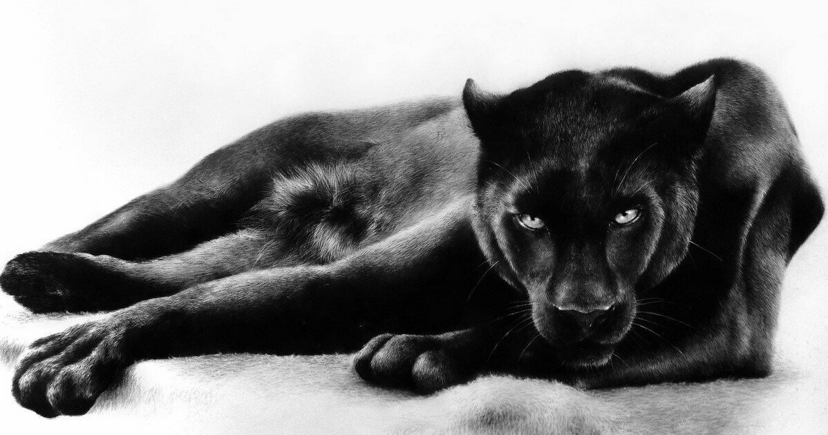 №2139293 - оригинал