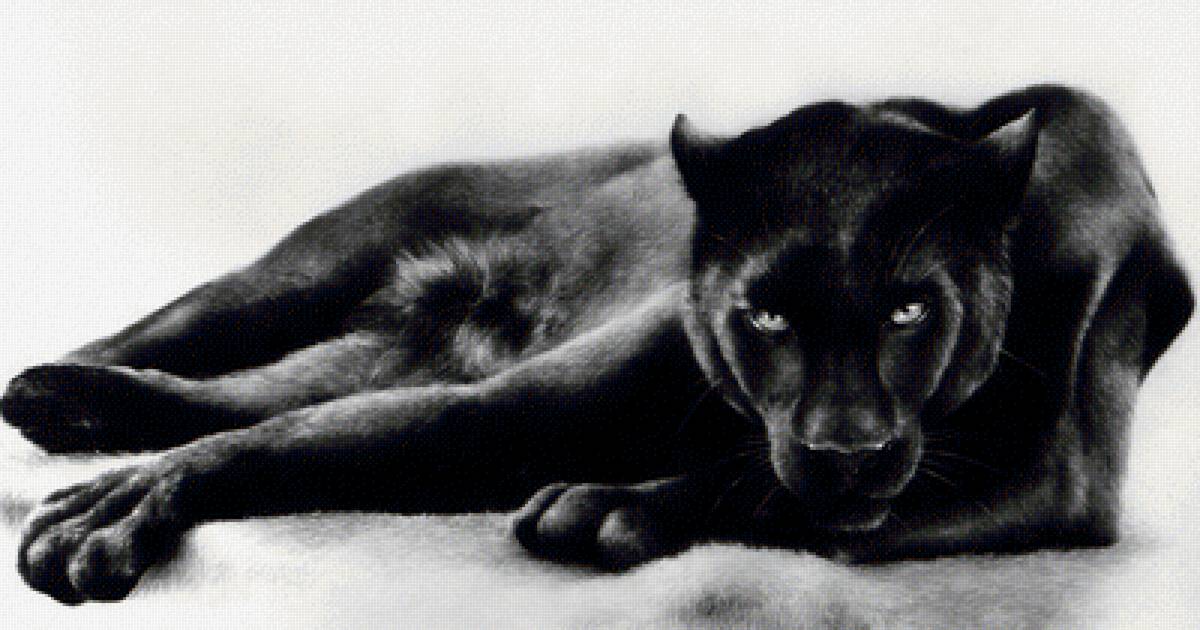 №2139293 - предпросмотр