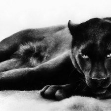 Схема вышивки «№2139293»