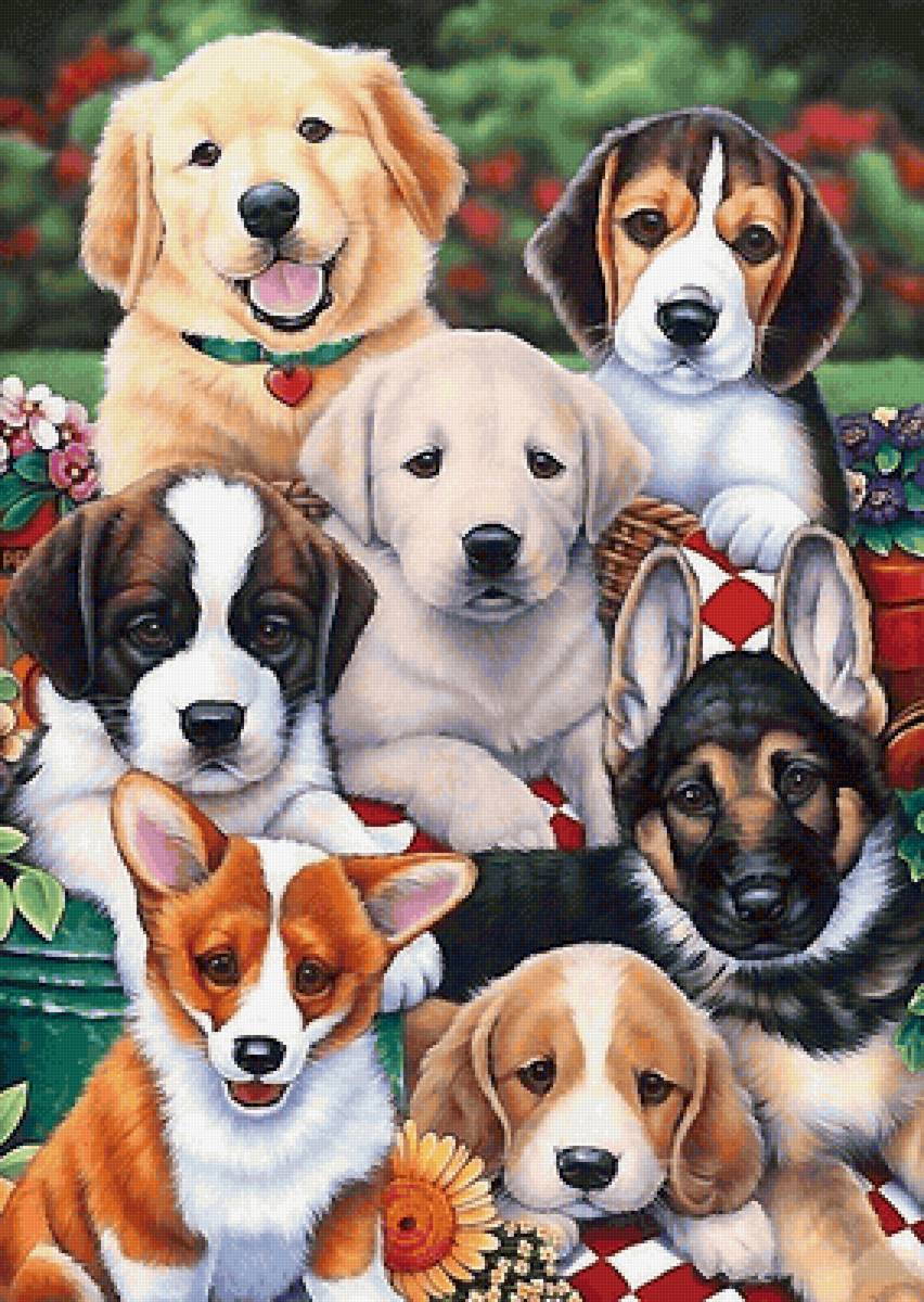 №2139710 - предпросмотр