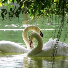 Схема вышивки «№2139741»