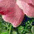 Предпросмотр схемы вышивки «Букет роз» (№2139849)