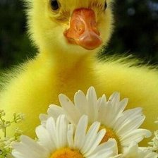 Схема вышивки «№2140092»