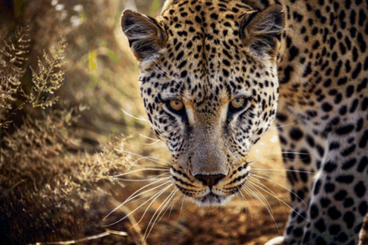 №2140186 - животные, хищники - предпросмотр