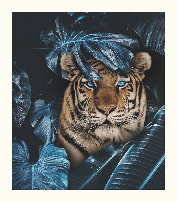 №2140190 - животные, тигр, тигры, хищники - оригинал