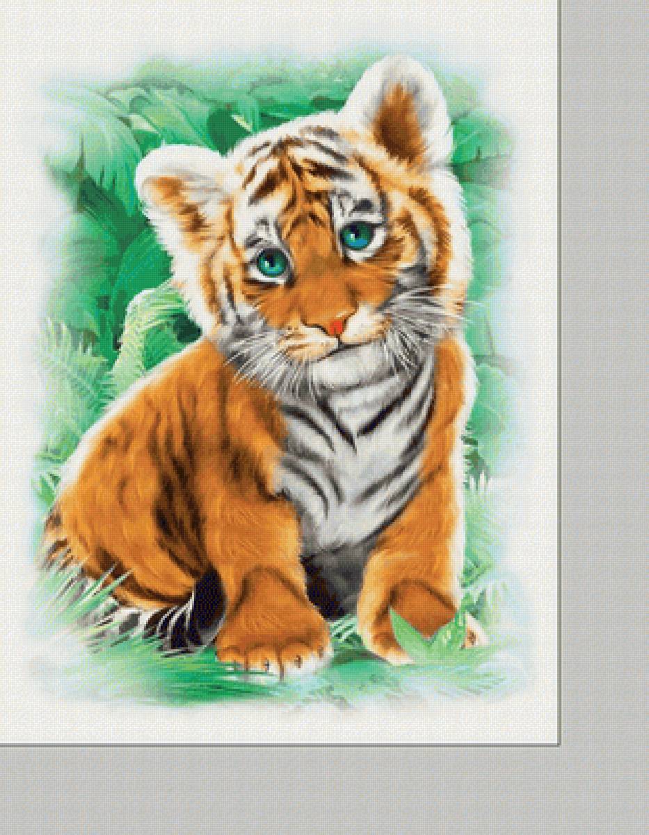 №2140193 - тигр, тигры, животные, хищники - предпросмотр