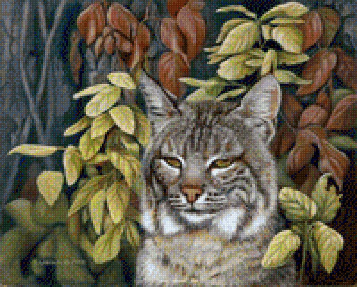 Рысь - рысь - предпросмотр