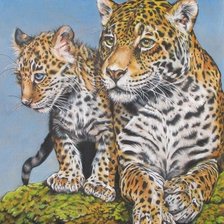 Схема вышивки «дикие»