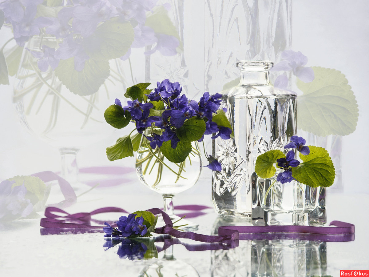 Весенний натюрморт на стекле - весна, отражение, стекло, фиалки, натюрморт - оригинал