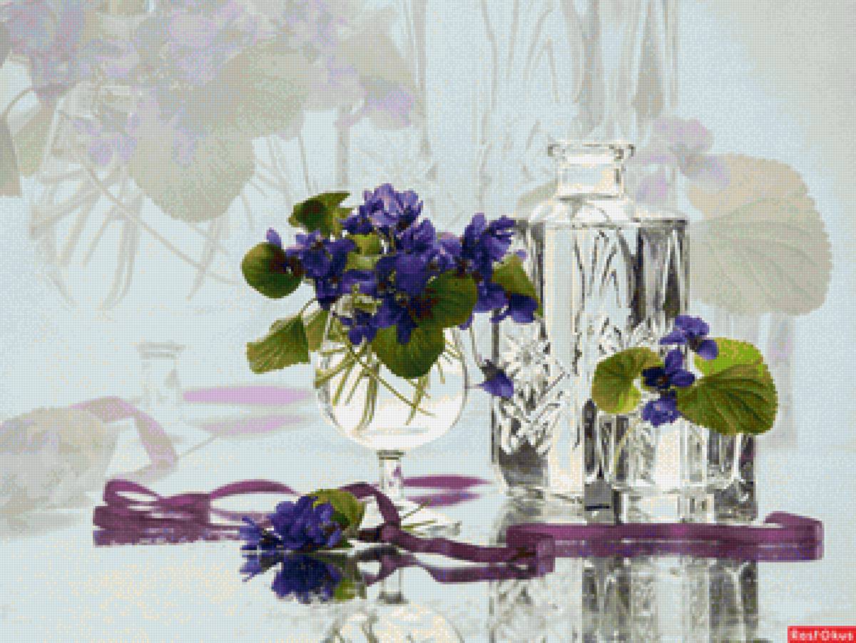 Весенний натюрморт на стекле - весна, стекло, натюрморт, фиалки, отражение - предпросмотр