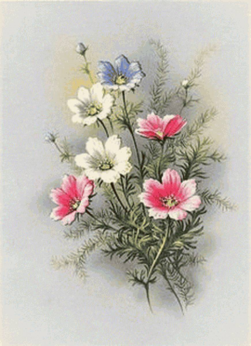 букет - цветы - предпросмотр