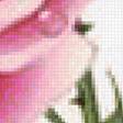 Предпросмотр схемы вышивки «цветы» (№2140845)