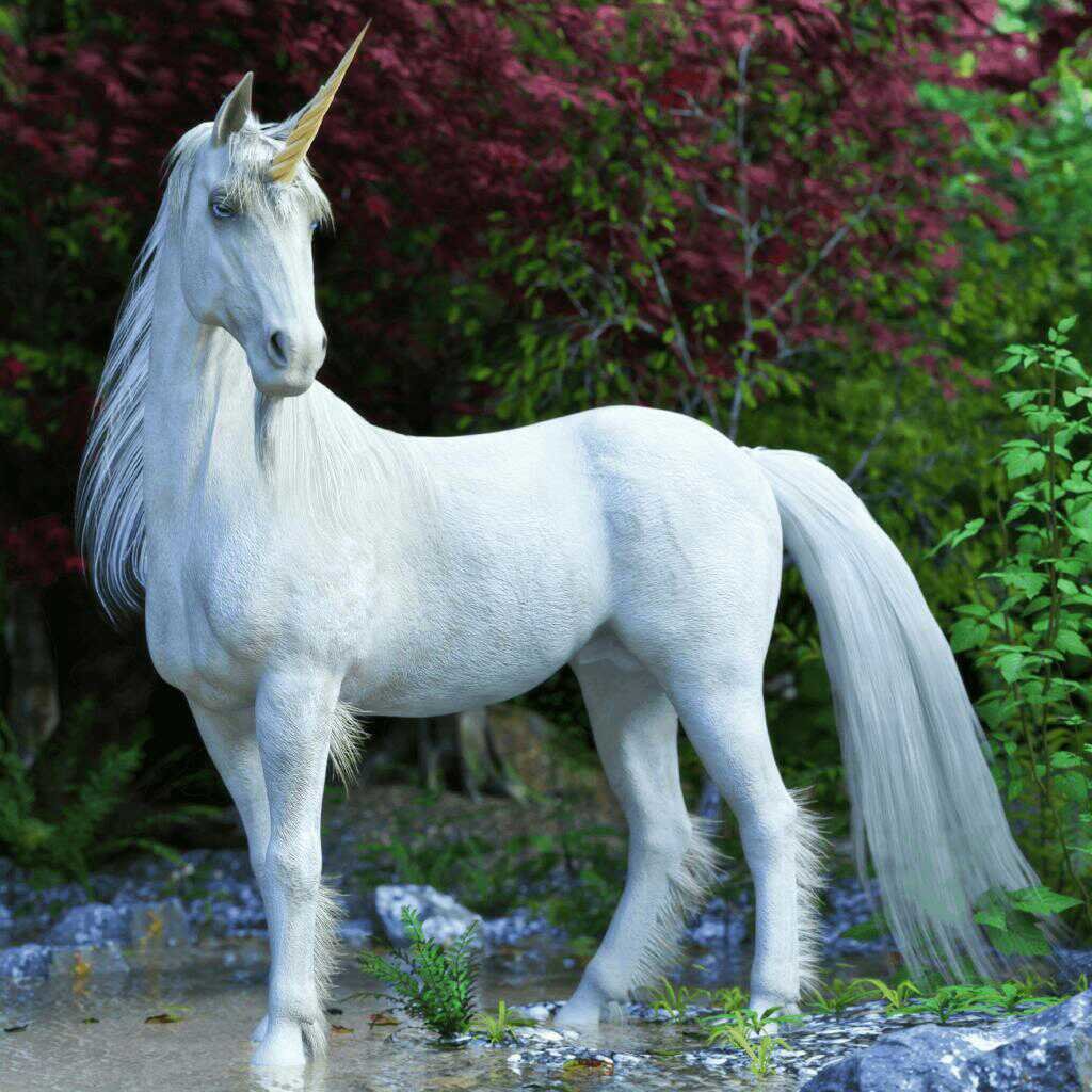 White Horse - horse, unicorn, animals, fantasy - оригинал