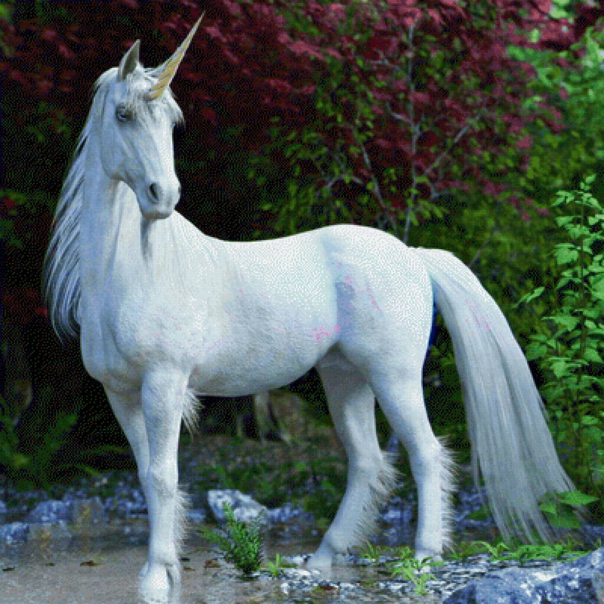 White Horse - animals, fantasy, unicorn, horse - предпросмотр