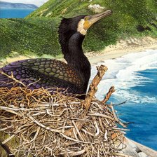 Схема вышивки «Птицы»