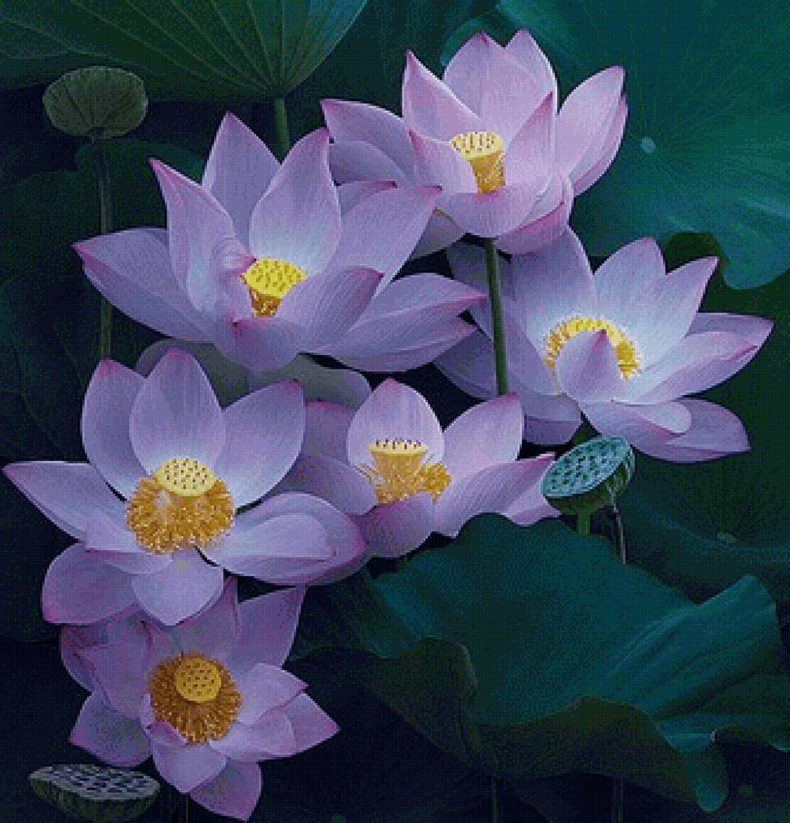 цветы - предпросмотр