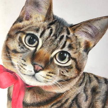 Схема вышивки «Котик с бантом»