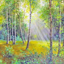 Схема вышивки «Березки»