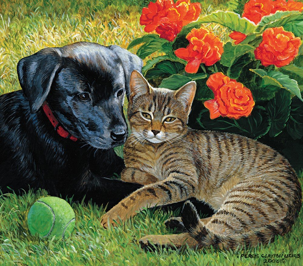 №2141139 - собака, кот, маки, мяч - оригинал