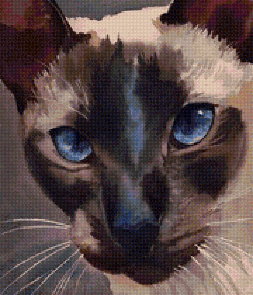 сиамский кот - кот, акварель, глаза, мордочка, сиам - предпросмотр