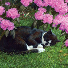 Схема вышивки «№2141154»