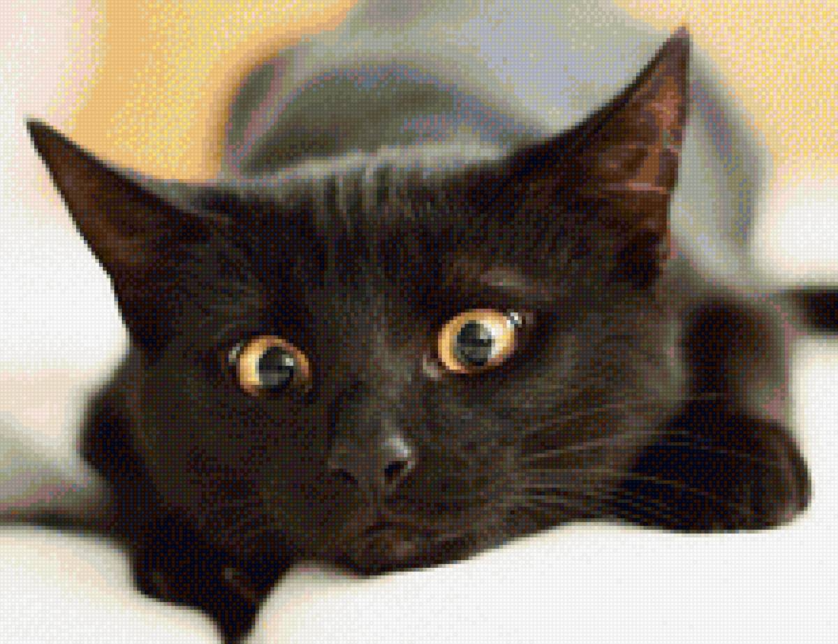 черный кот - мордочка, глаза, лежит, черный кот - предпросмотр