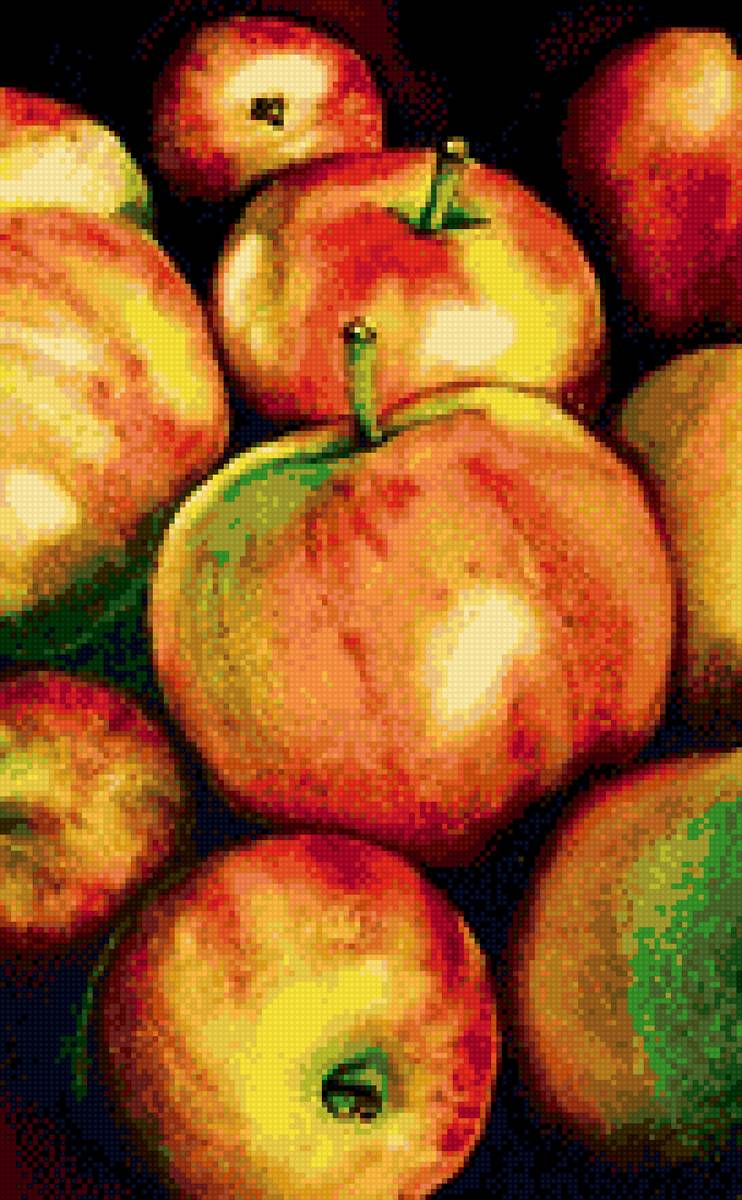 спелые яблоки - яблоки - предпросмотр