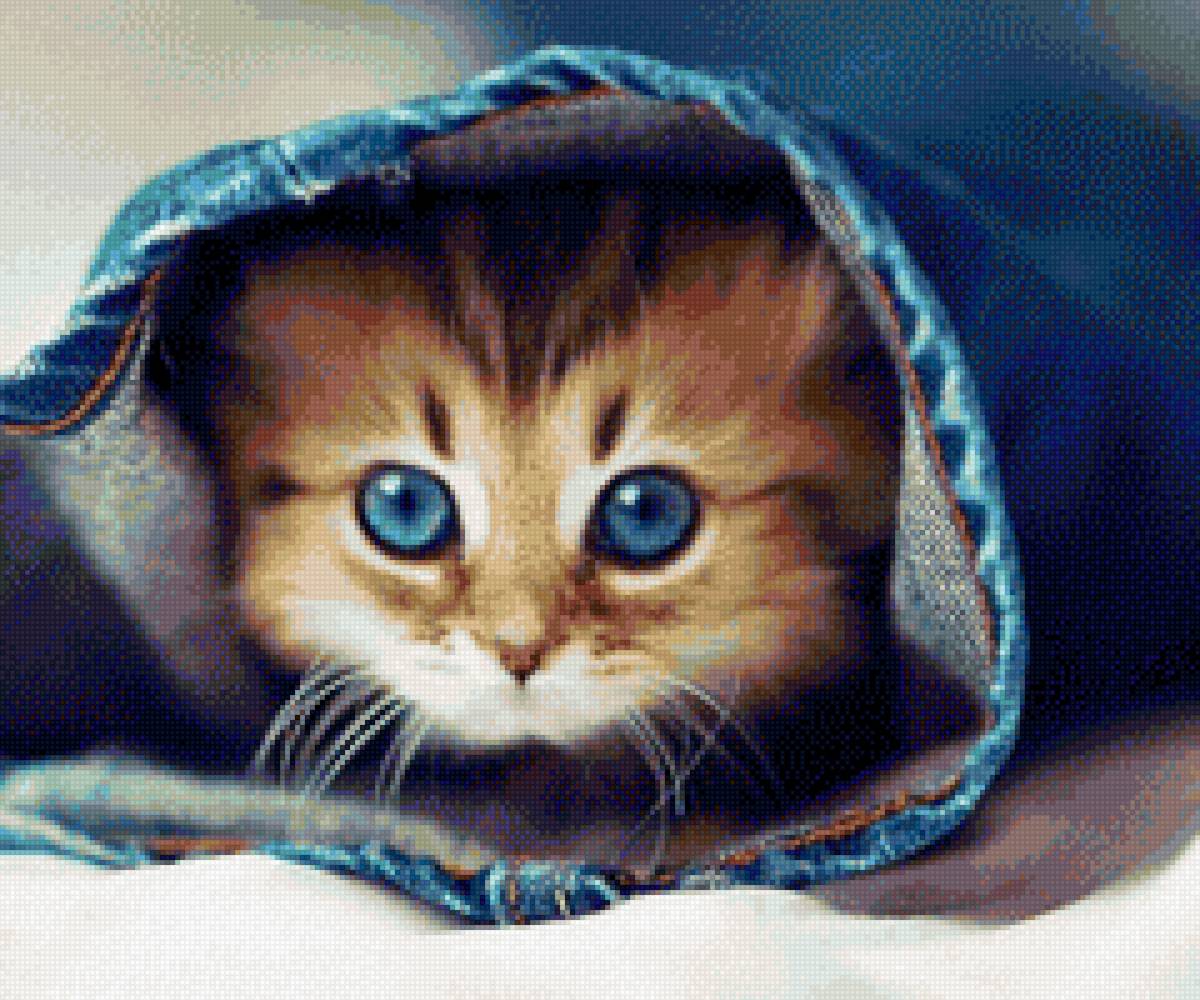 котенок - рыжий, мордочка, котенок, глаза - предпросмотр