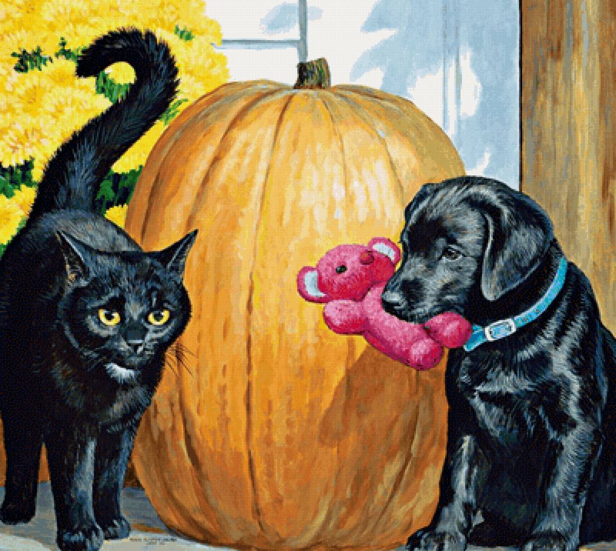 №2141253 - кот, собака - предпросмотр