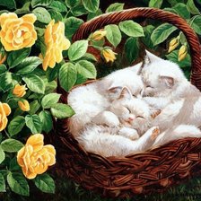 Схема вышивки «№2141254»