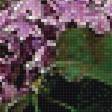 Предпросмотр схемы вышивки «Сирень» (№2141262)