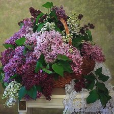 Схема вышивки «Сирень»