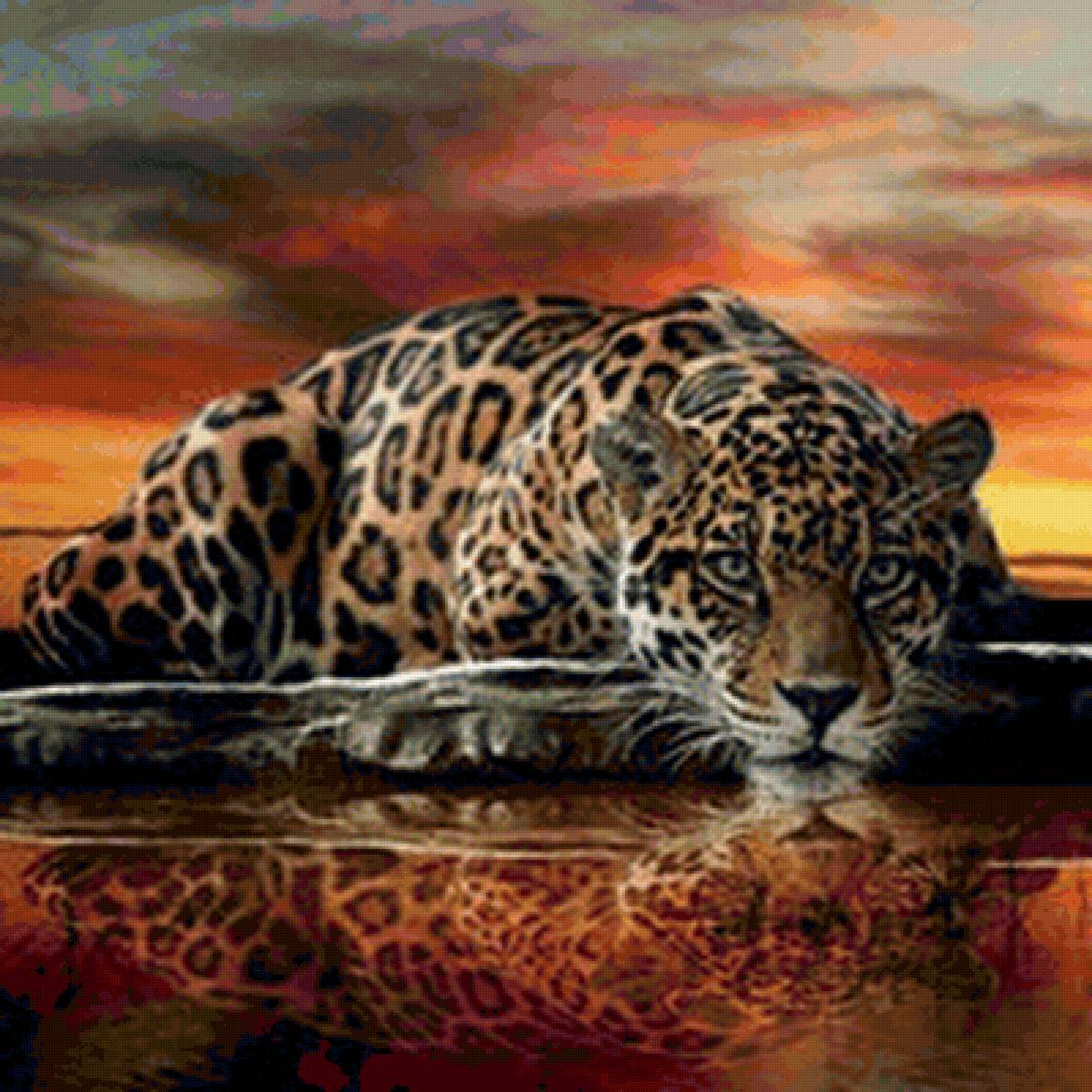 лео - предпросмотр