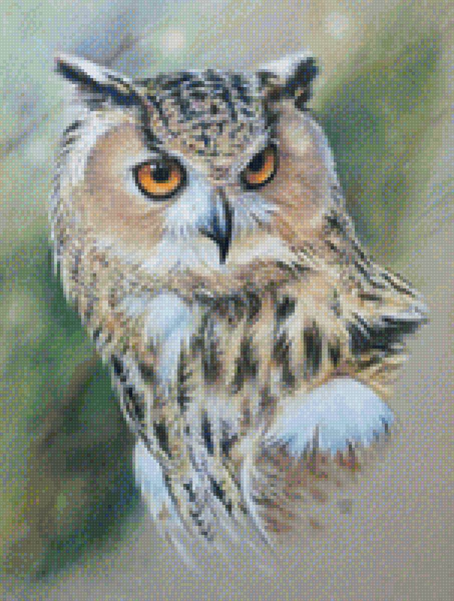 Сова - сова - предпросмотр