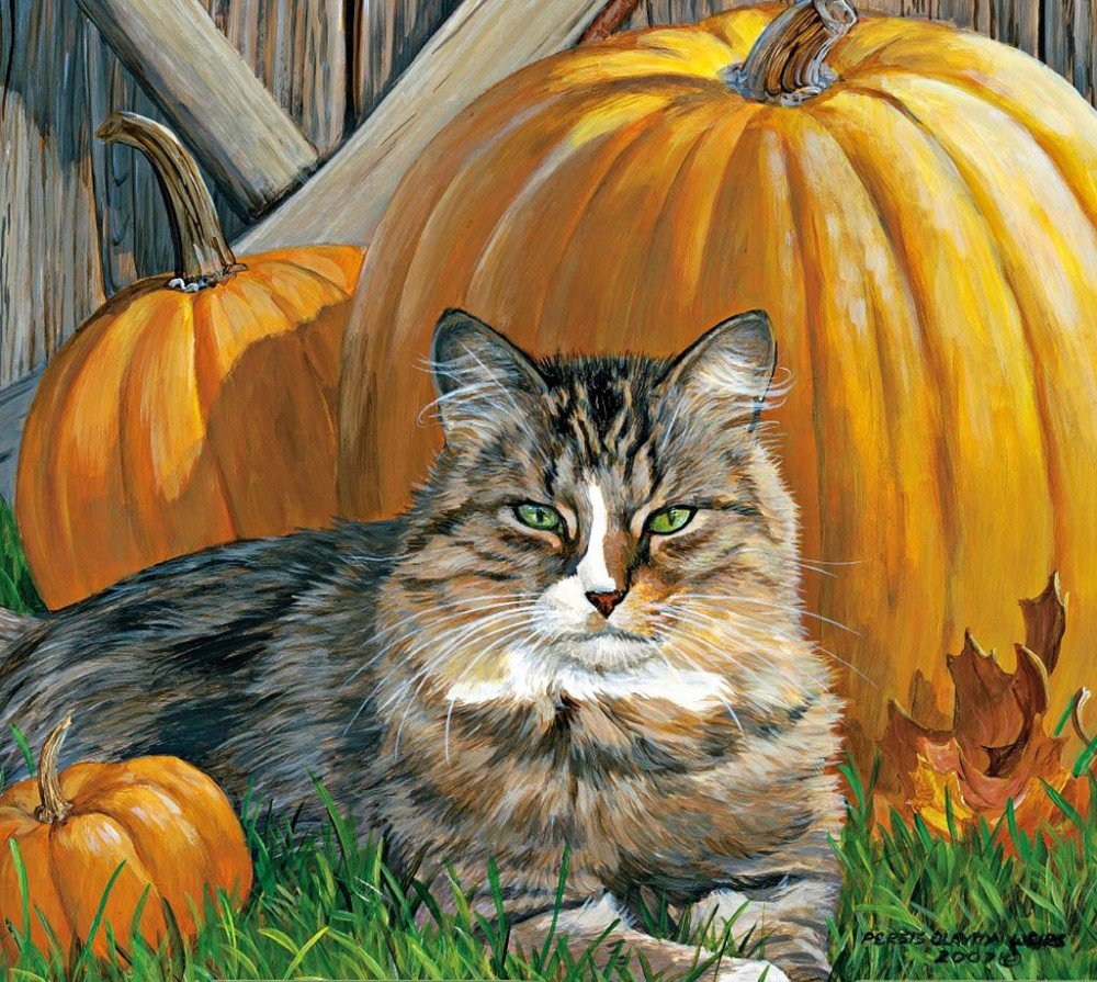 №2141889 - домашние животные, тыква, кот - оригинал